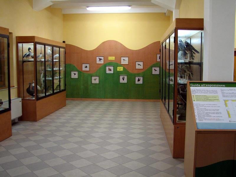 Museo Ornitologico