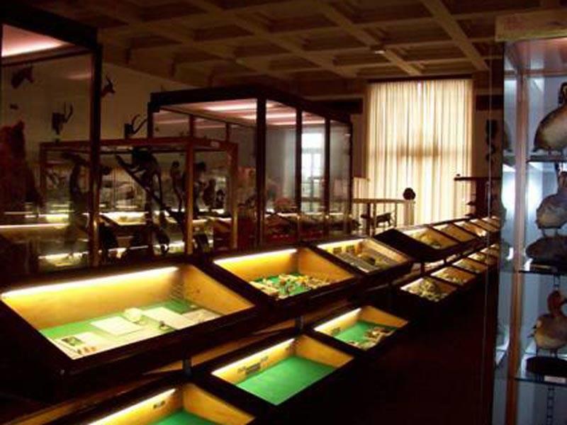 Museo di Storia Naturale A.Stoppani