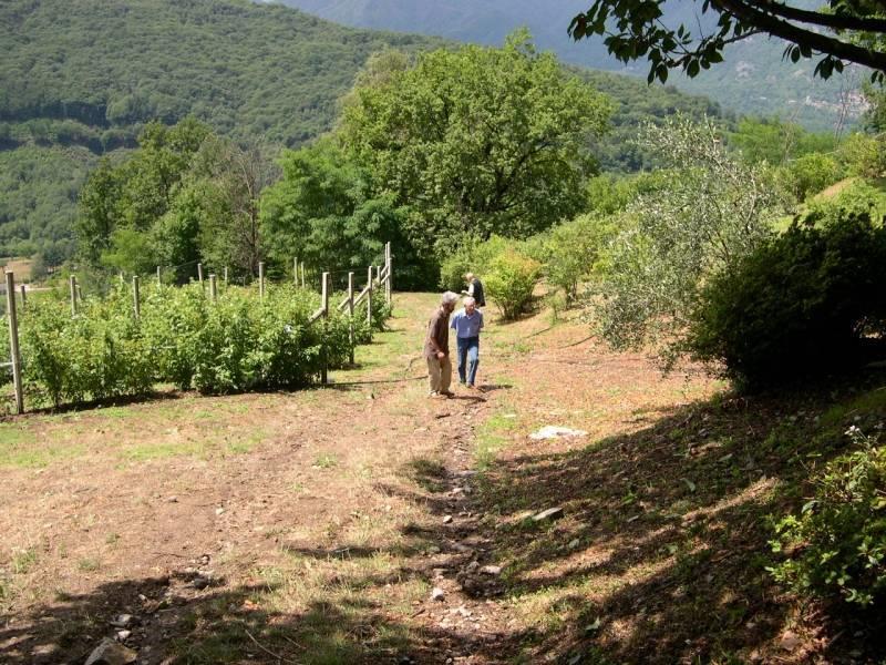 Azienda Agricola il Glicine Ecomuseo
