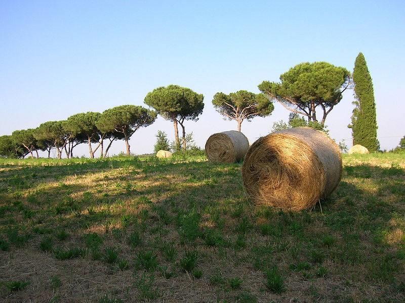 Parco di Vejo