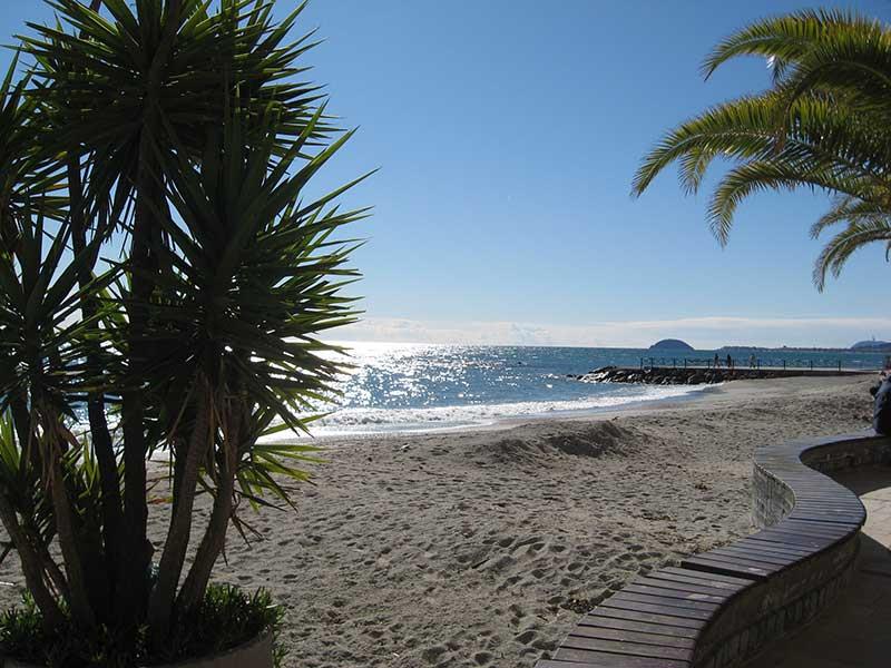 Edilriviera