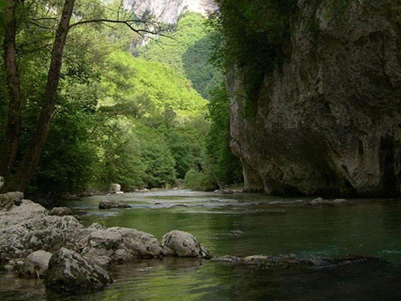 Bosco di Frasassi