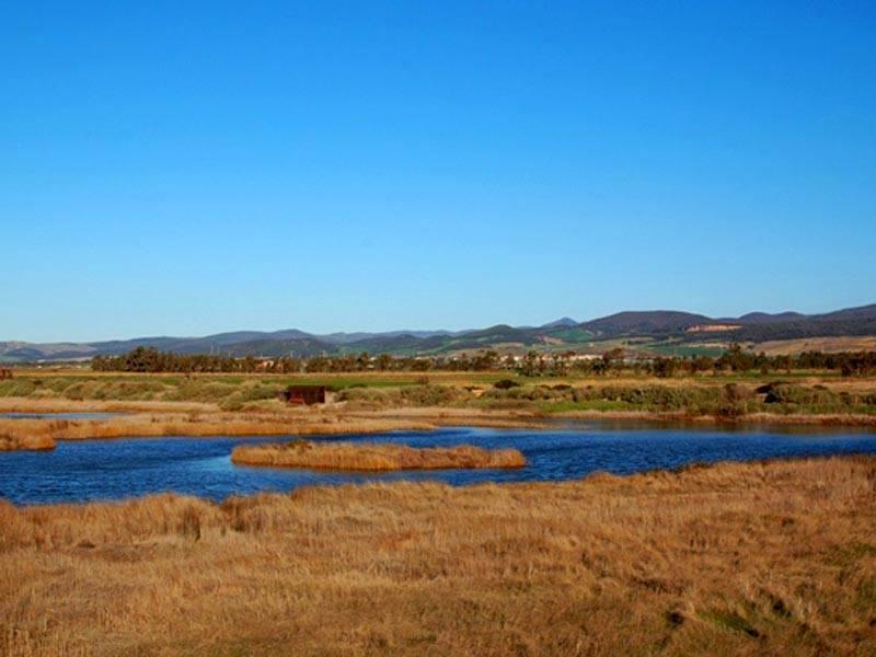 Riserva naturale Macchiatonda