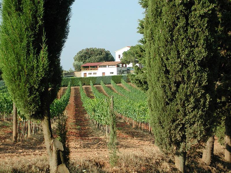 Agriturismo Tesorino