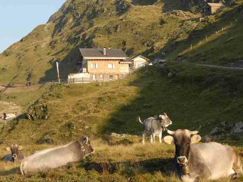 Affittacamere privata Flecknerhütte