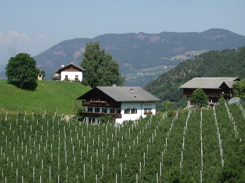 Maso Hanighof