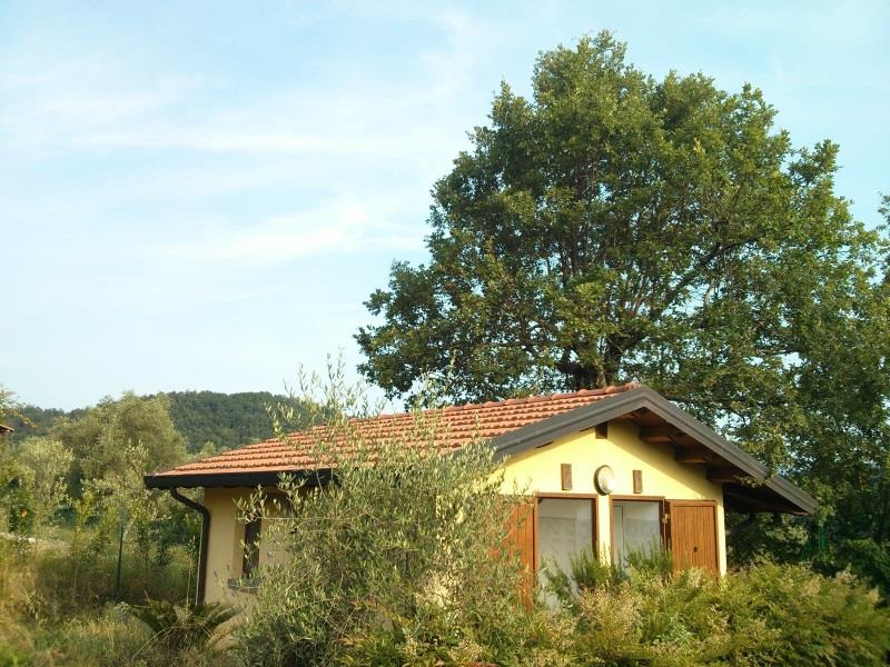FOGOLA LUISA