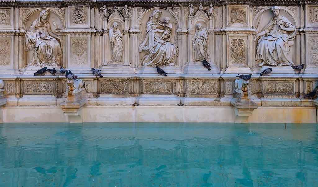 Fonte Gaia il Campo