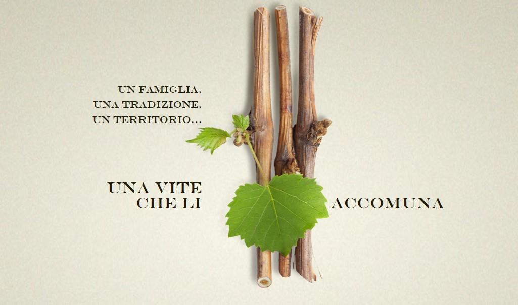 Zanatta Roberto | Azienda Vitivinicola