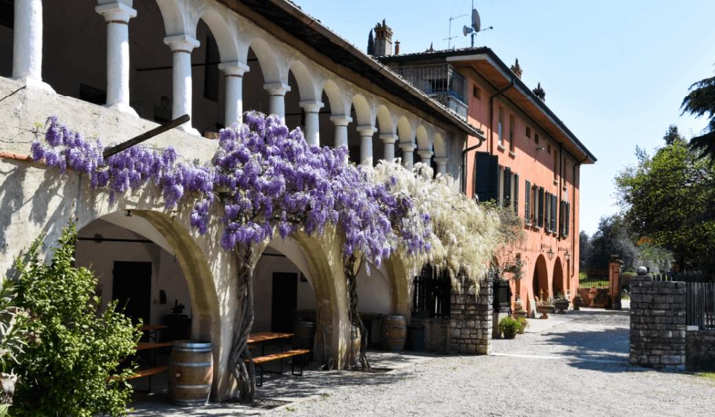 Azienda Agricola La Torre