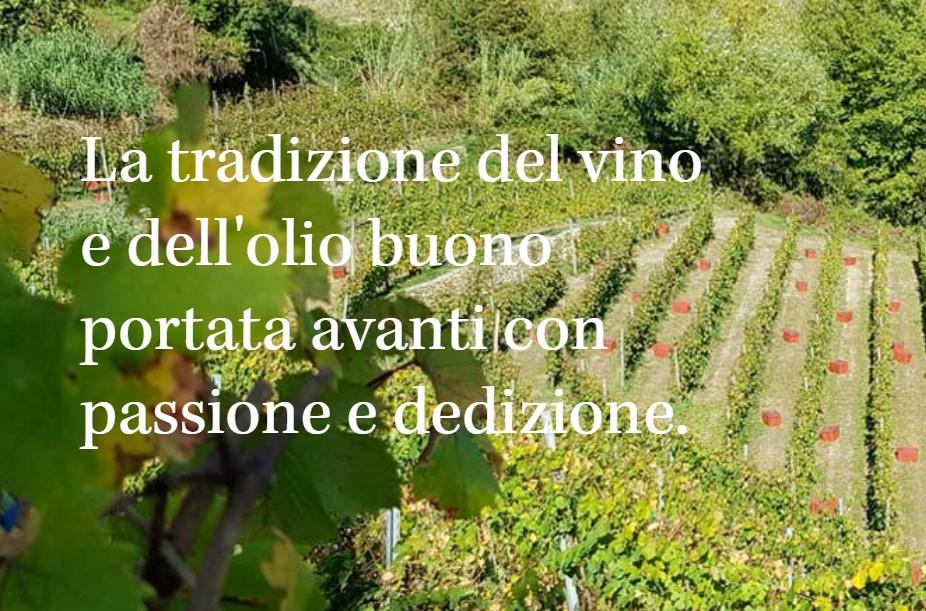 Tenuta Maffone 