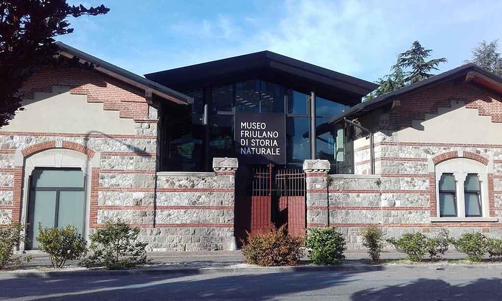 Museo Friulano di Storia Naturale