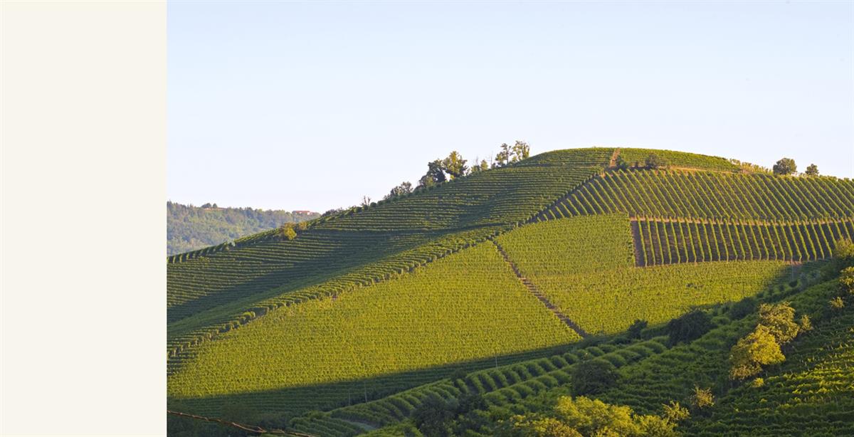 Produttori Del Barbaresco S.A.C.
