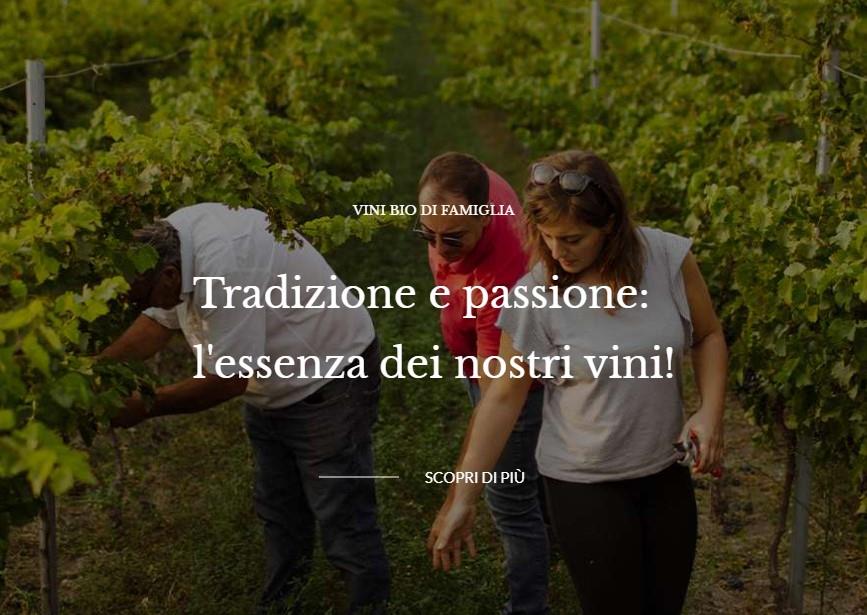 Cantine Losito