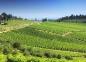 Enoteca regionale di Acqui Terme