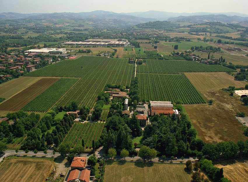 Cantina Coloni Pezzuoli Srl