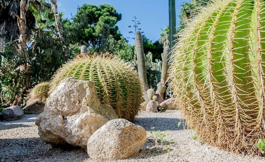Orto Botanico Cagliari