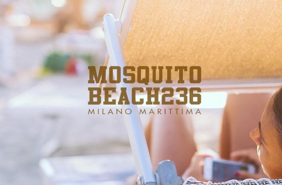 Mosquito Beach 236
