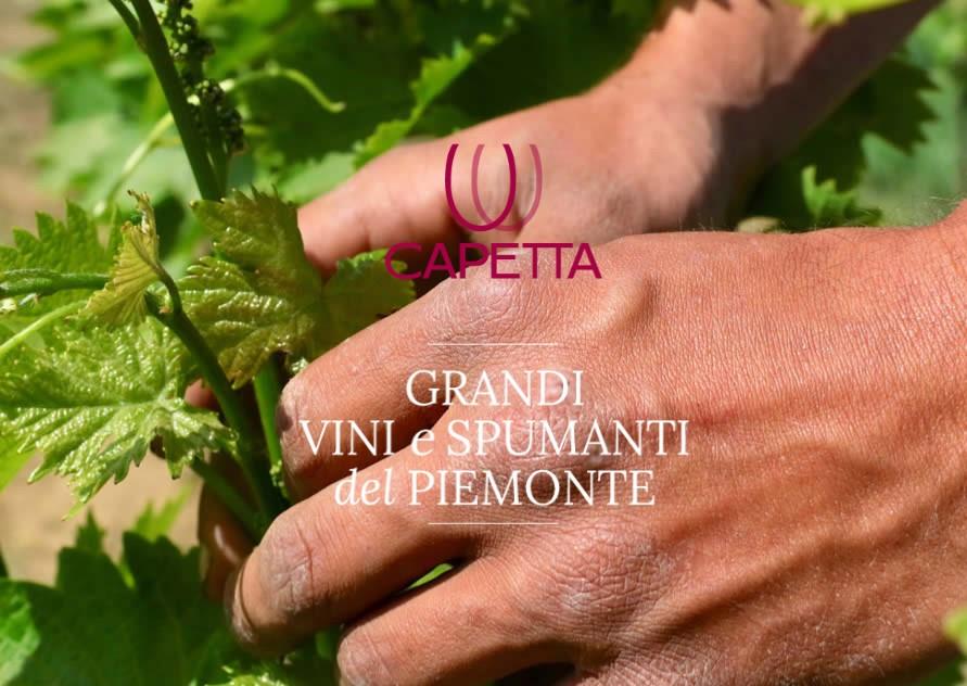 Capetta I.Vi.P. S.P.A. Industria Vinicola Piemontese