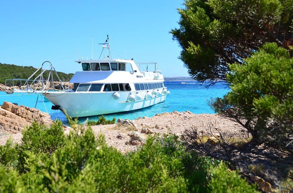 Flotta Del Parco 