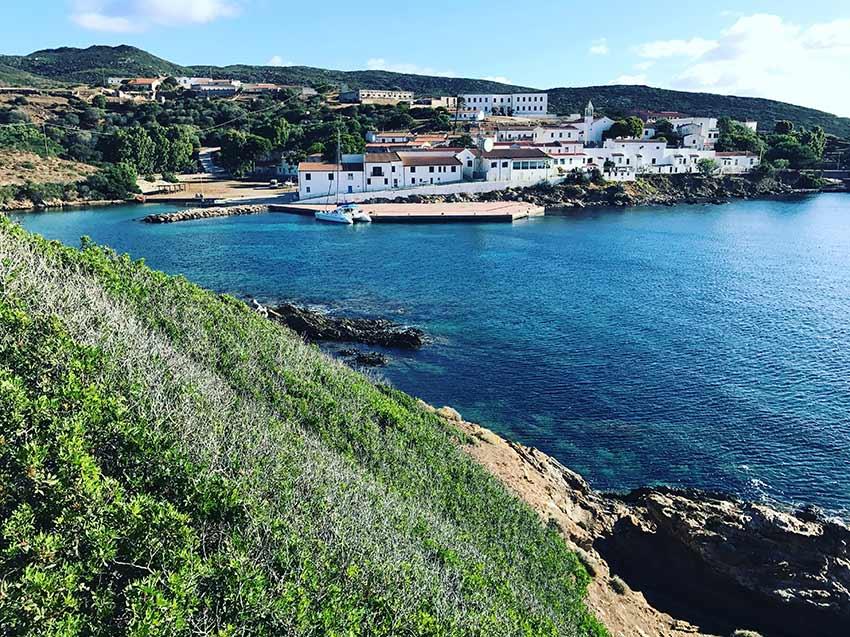 Asinara Catamaran Stintino