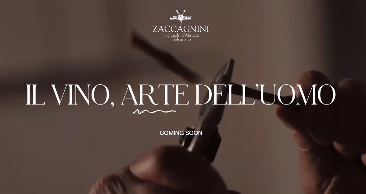 Zaccagnini - Di Masso