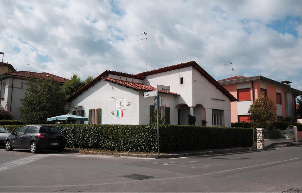 Il Cactus