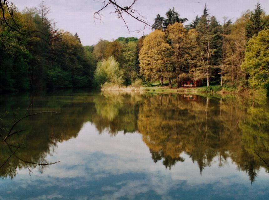 Parco naturale regionale dei Boschi di Carrega