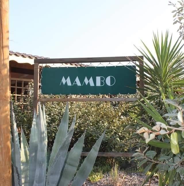 Lido Mambo