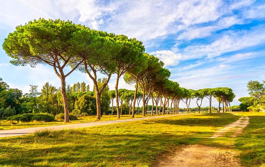 Parco di San Rossore