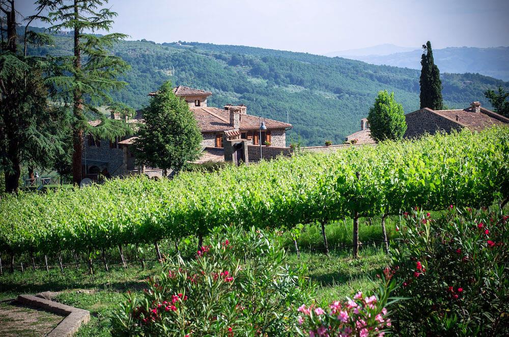 AGRITURISMO LAPONE