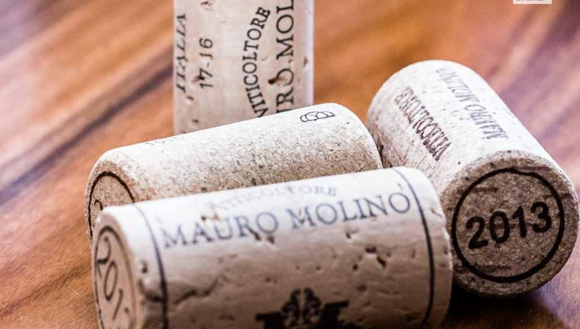 Molino