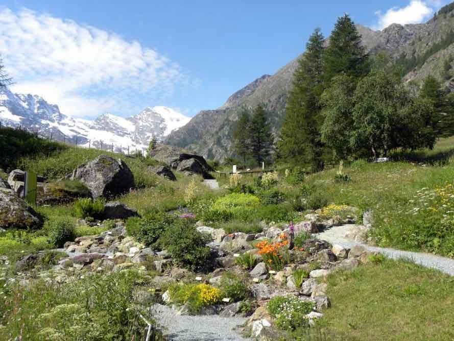 Giardino botanico alpino Paradisia