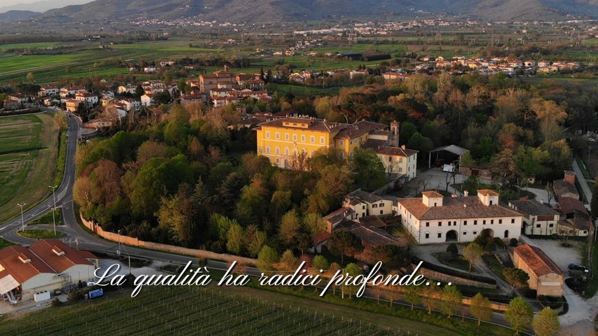 Cantina Tenuta Di Frassineto Srl