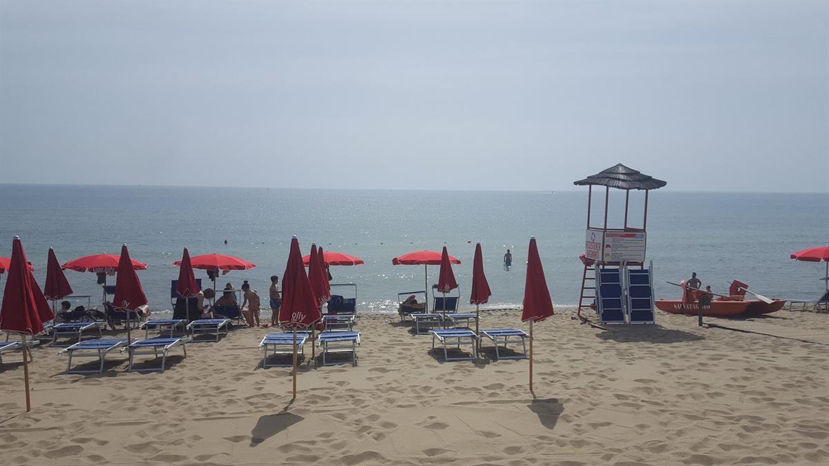 Lido Jolly Coccoloba