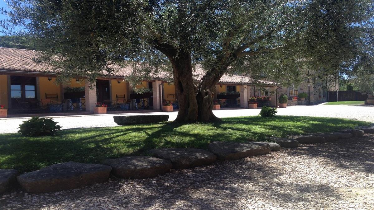 AGRITURISMO ARLENA      