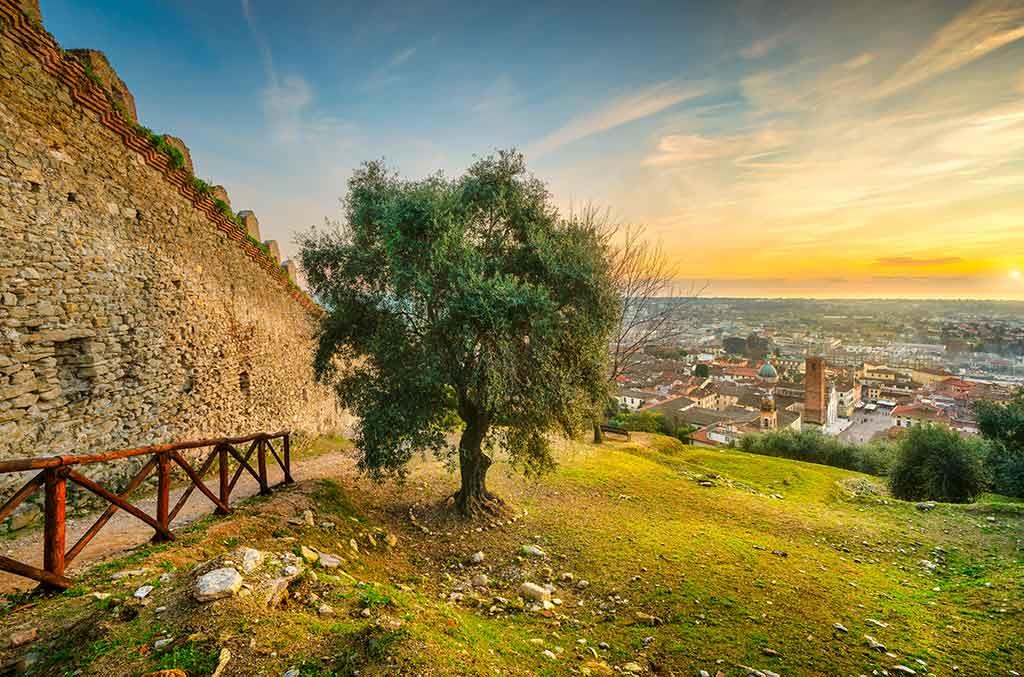 Rocca di Sala
