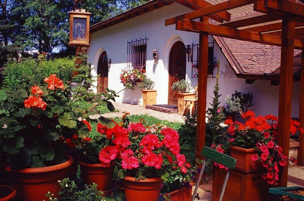 B&B Country Club S. Durich