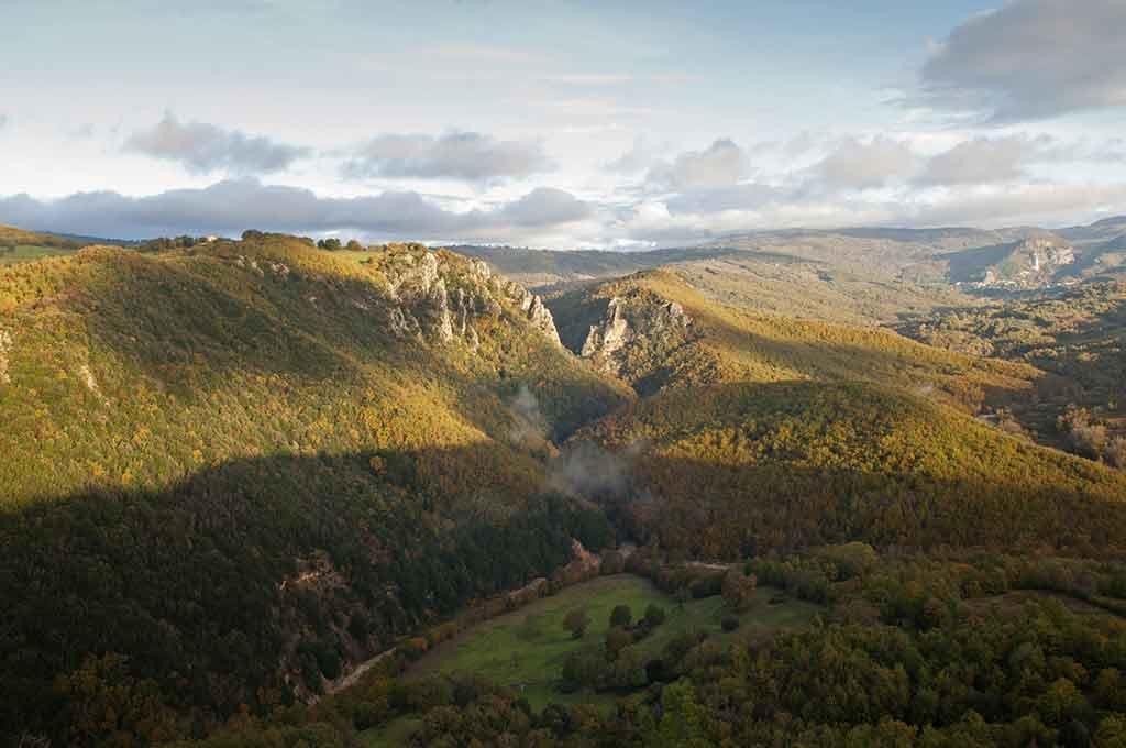 Riserva Regionale Bosco Rocconi