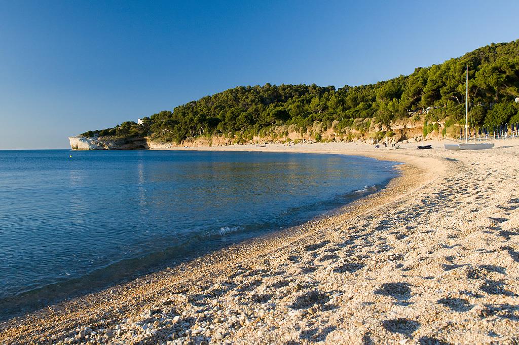 CALA CAMPI