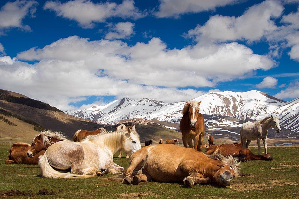 Parco Nazionale dei Monti Sibillini