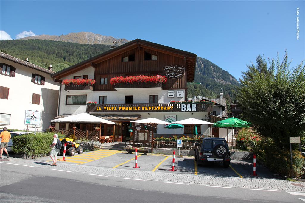 Le Vieux Pommier 1
