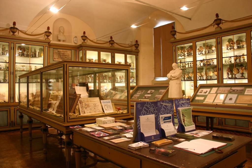 Museo per la Storia dell'Università di Pavia