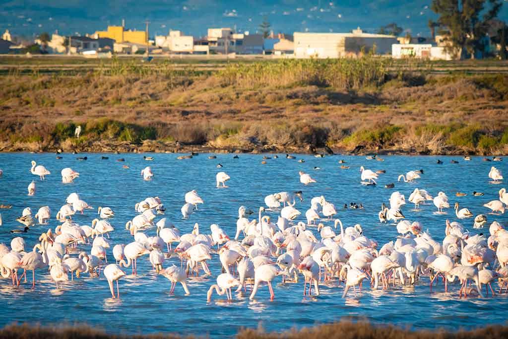 Parco delta del Pò