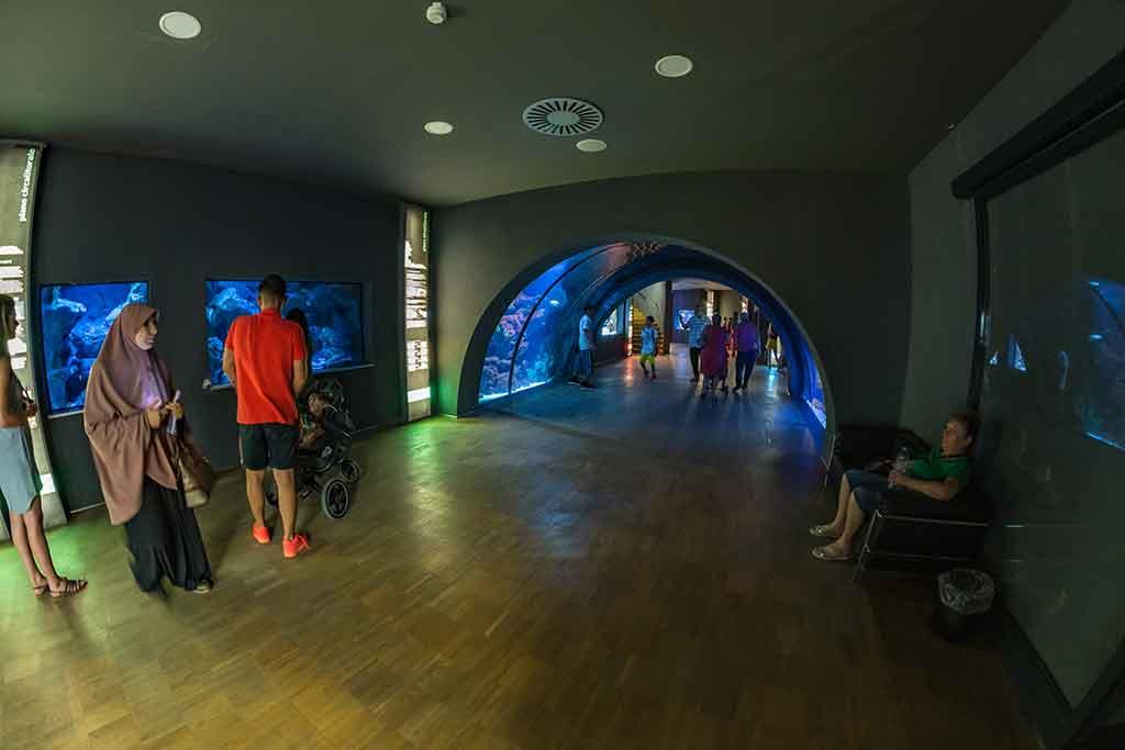 Acquario Civico