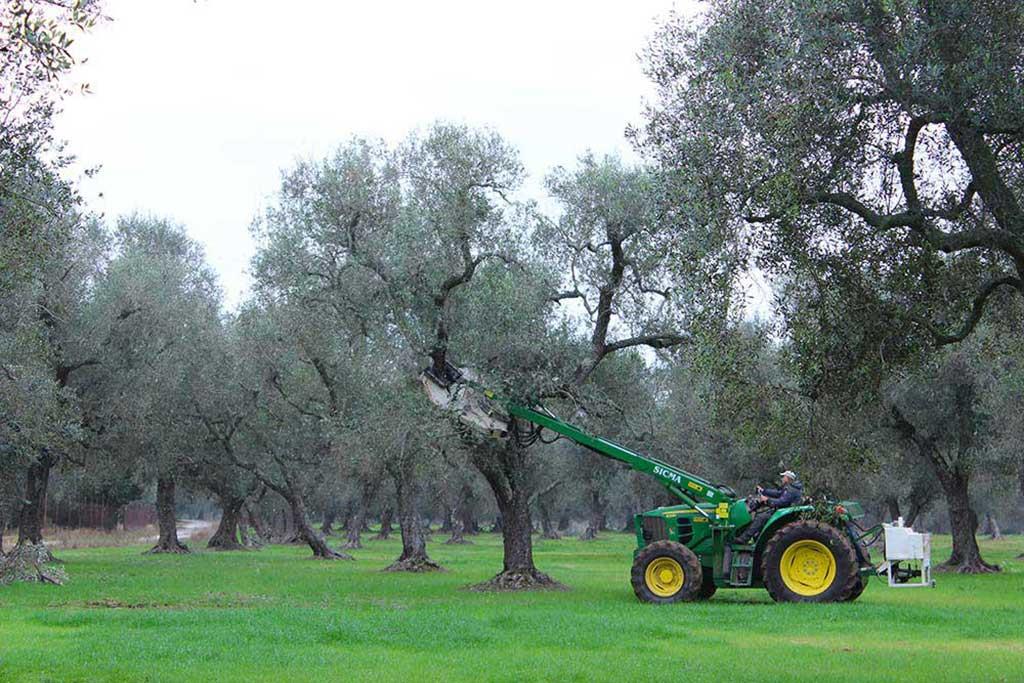 Agrosi' Giuseppe