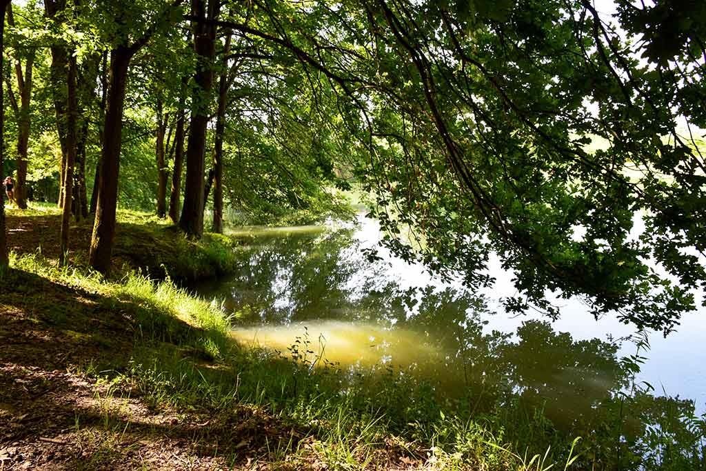 Arboreto di Vallombrosa