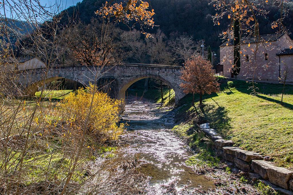 Bosco San Francesco