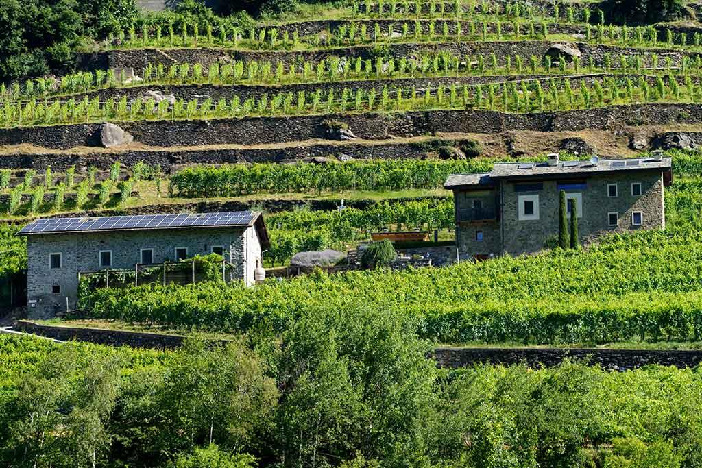 Fondazione Fojanini