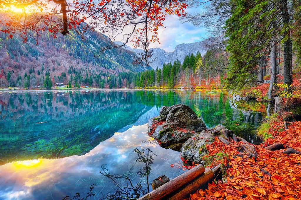 Foresta di Tarvisio
